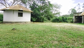 WhatsApp Image 2025-03-21 at 21.51.28.jpg